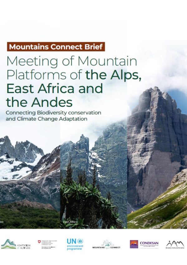 Mountains POLICY BRIEF 2 version ENG
