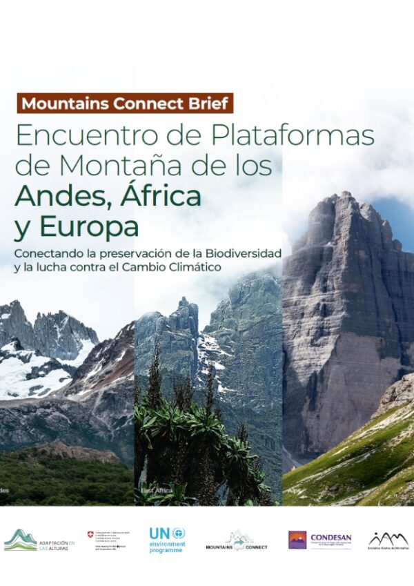 Mountains POLICY BRIEF 2 version ESP
