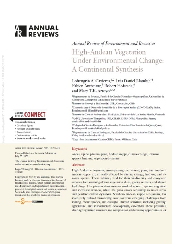 Portada High Andean vegetation_